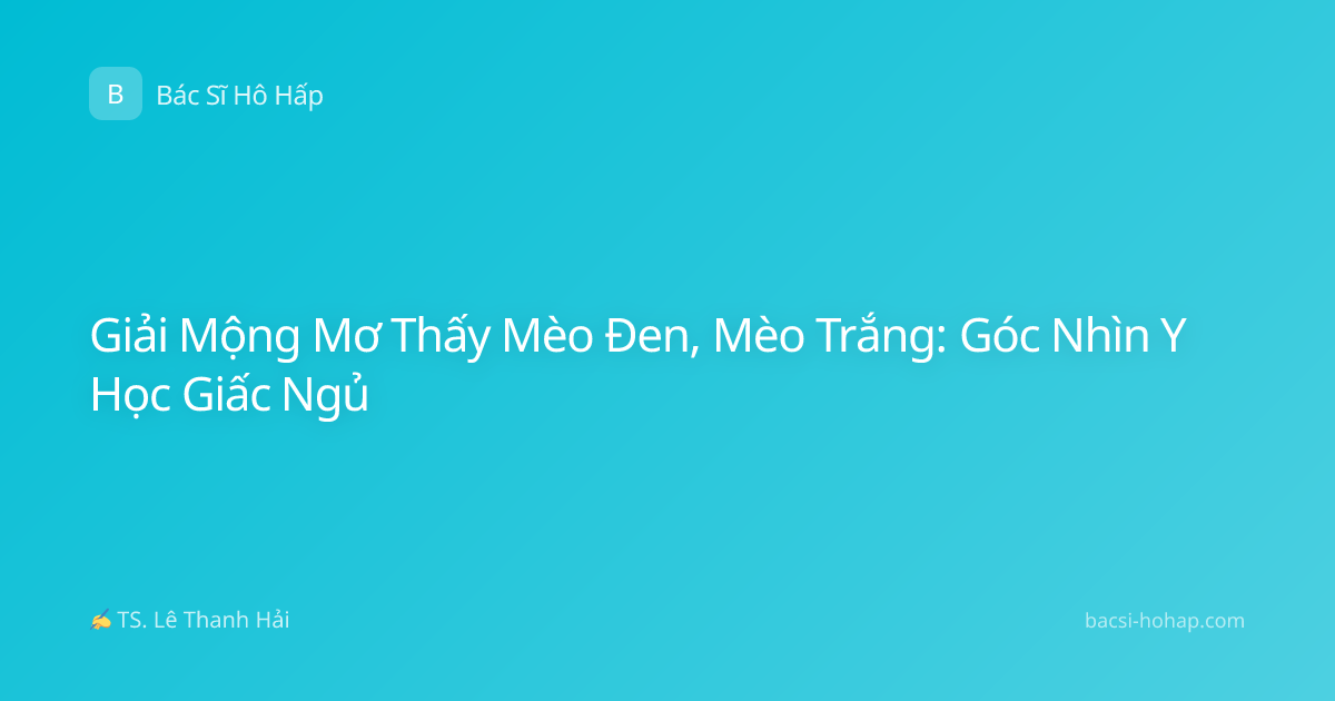 Giải Mộng Mơ Thấy Mèo Đen, Mèo Trắng: Góc Nhìn Y Học Giấc Ngủ